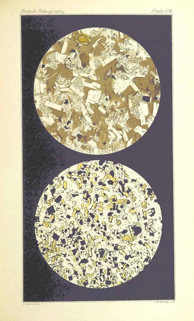 An illustration from British Petrography: with special reference to the igneous rocks. With ... plates. (Glossary of terms used in describing Rocks By F. H. Hatch.), 1888, leaf 561