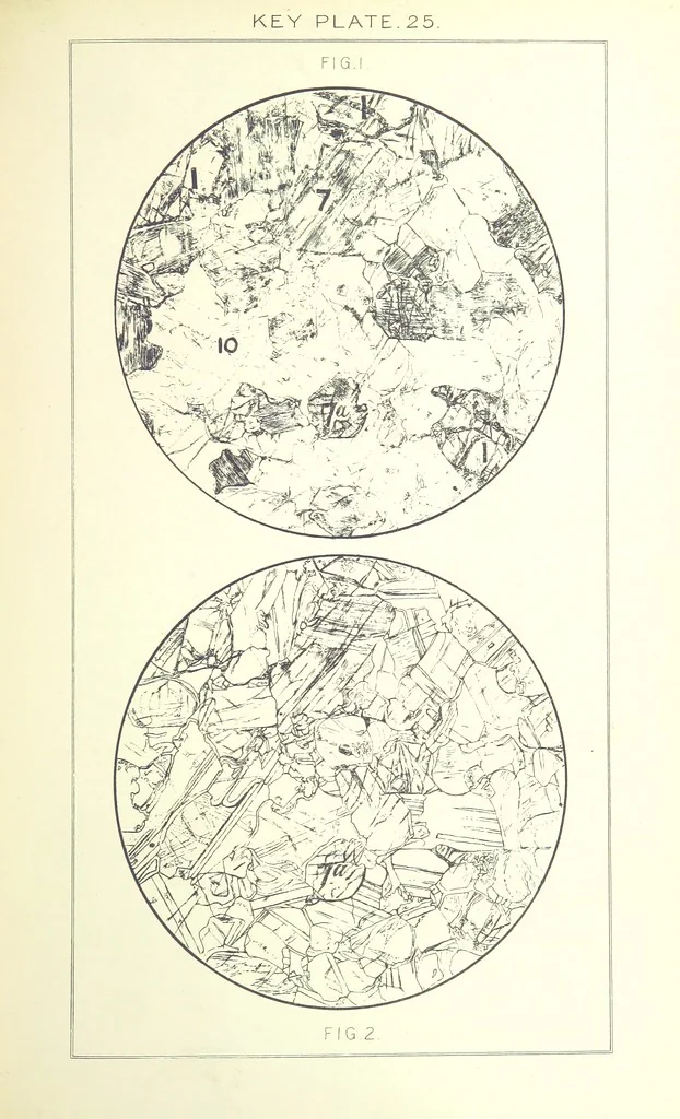 An illustration from British Petrography: with special reference to the igneous rocks. With ... plates. (Glossary of terms used in describing Rocks By F. H. Hatch.), 1888, leaf 563
