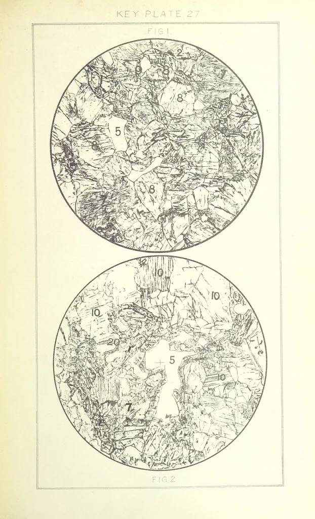 An illustration from British Petrography: with special reference to the igneous rocks. With ... plates. (Glossary of terms used in describing Rocks By F. H. Hatch.), 1888, leaf 569