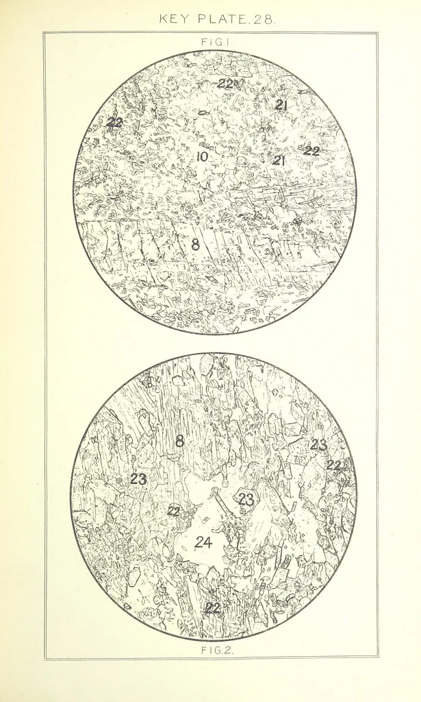 An illustration from British Petrography: with special reference to the igneous rocks. With ... plates. (Glossary of terms used in describing Rocks By F. H. Hatch.), 1888, leaf 573