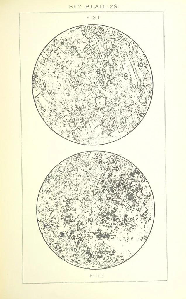 An illustration from British Petrography: with special reference to the igneous rocks. With ... plates. (Glossary of terms used in describing Rocks By F. H. Hatch.), 1888, leaf 577