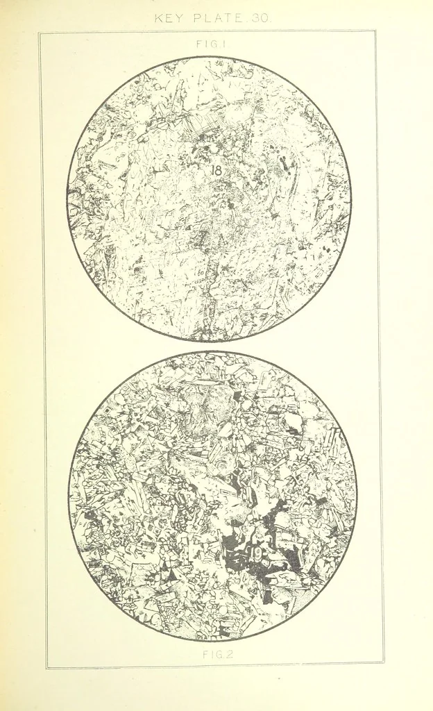 An illustration from British Petrography: with special reference to the igneous rocks. With ... plates. (Glossary of terms used in describing Rocks By F. H. Hatch.), 1888, leaf 581
