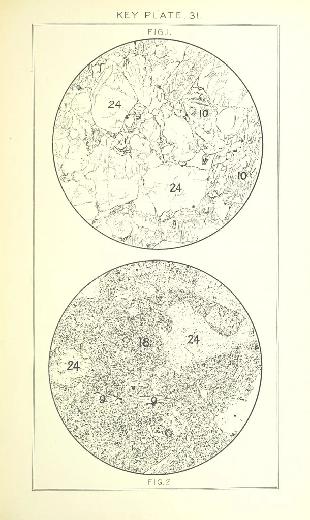 An illustration from British Petrography: with special reference to the igneous rocks. With ... plates. (Glossary of terms used in describing Rocks By F. H. Hatch.), 1888, leaf 585