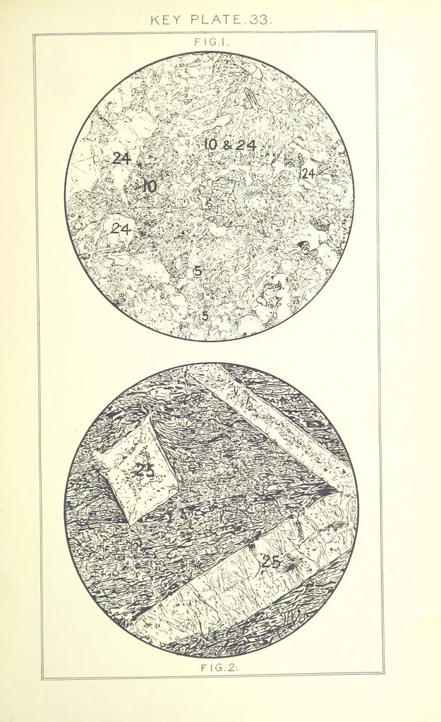 An illustration from British Petrography: with special reference to the igneous rocks. With ... plates. (Glossary of terms used in describing Rocks By F. H. Hatch.), 1888, leaf 593