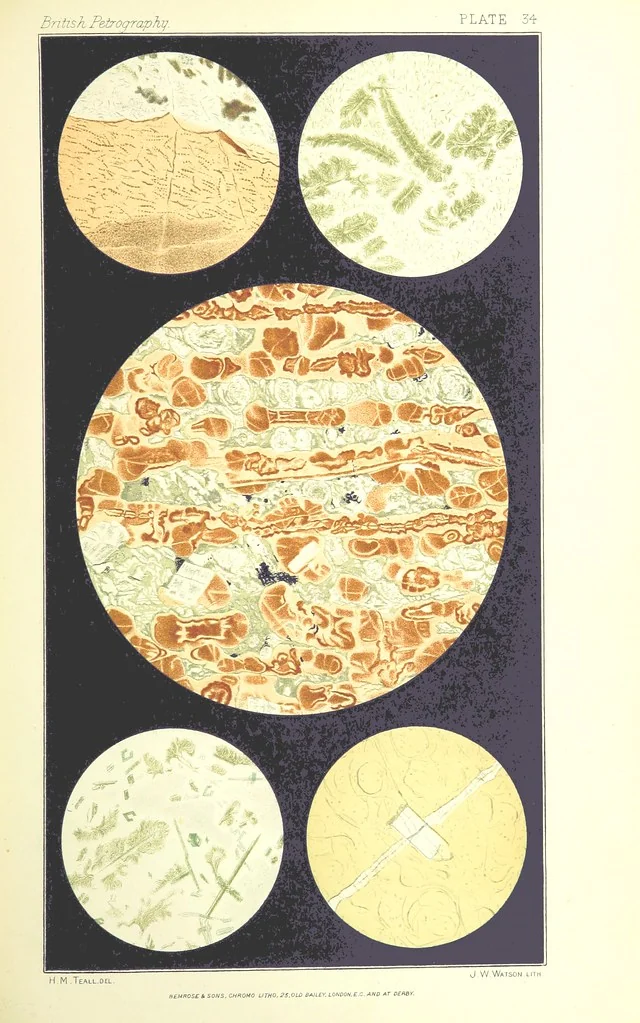 An illustration from British Petrography: with special reference to the igneous rocks. With ... plates. (Glossary of terms used in describing Rocks By F. H. Hatch.), 1888, leaf 599