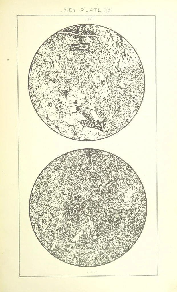 An illustration from British Petrography: with special reference to the igneous rocks. With ... plates. (Glossary of terms used in describing Rocks By F. H. Hatch.), 1888, leaf 605