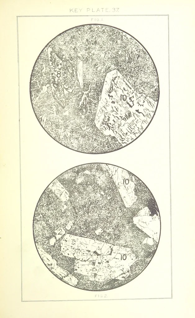 An illustration from British Petrography: with special reference to the igneous rocks. With ... plates. (Glossary of terms used in describing Rocks By F. H. Hatch.), 1888, leaf 609
