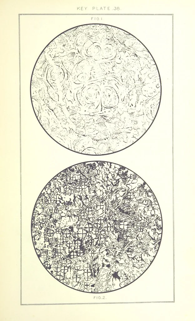 An illustration from British Petrography: with special reference to the igneous rocks. With ... plates. (Glossary of terms used in describing Rocks By F. H. Hatch.), 1888, leaf 613