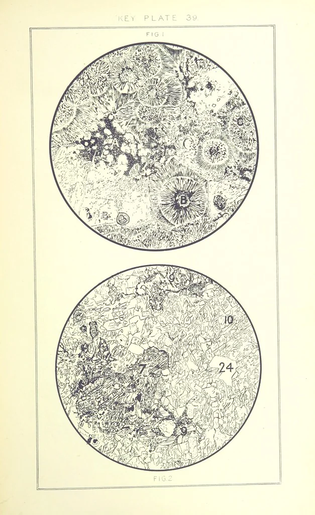 An illustration from British Petrography: with special reference to the igneous rocks. With ... plates. (Glossary of terms used in describing Rocks By F. H. Hatch.), 1888, leaf 617