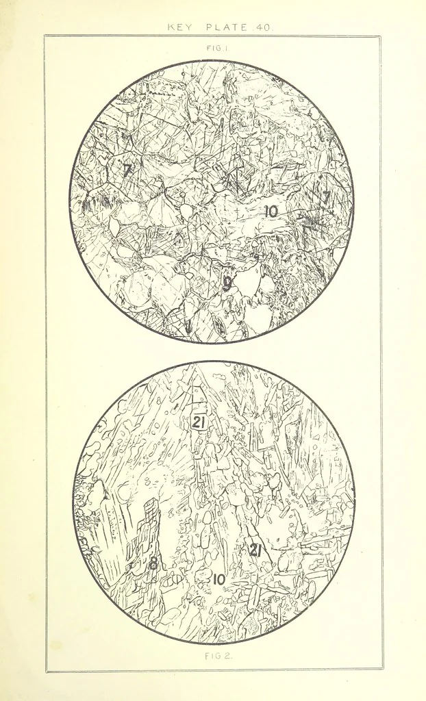 An illustration from British Petrography: with special reference to the igneous rocks. With ... plates. (Glossary of terms used in describing Rocks By F. H. Hatch.), 1888, leaf 621