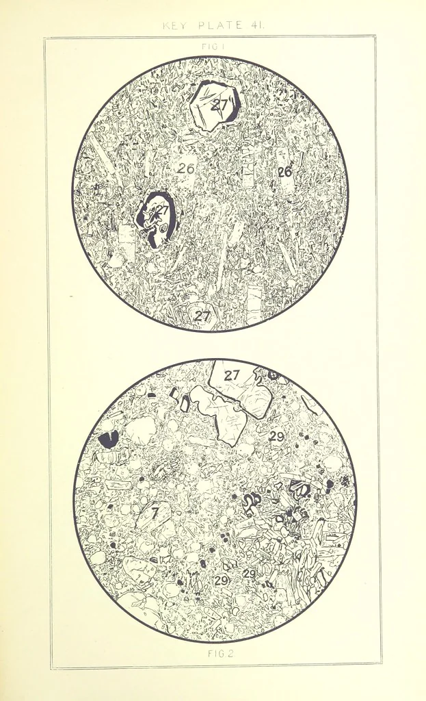 An illustration from British Petrography: with special reference to the igneous rocks. With ... plates. (Glossary of terms used in describing Rocks By F. H. Hatch.), 1888, leaf 625