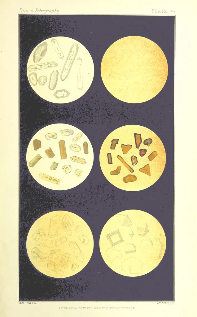 An illustration from British Petrography: with special reference to the igneous rocks. With ... plates. (Glossary of terms used in describing Rocks By F. H. Hatch.), 1888, leaf 637