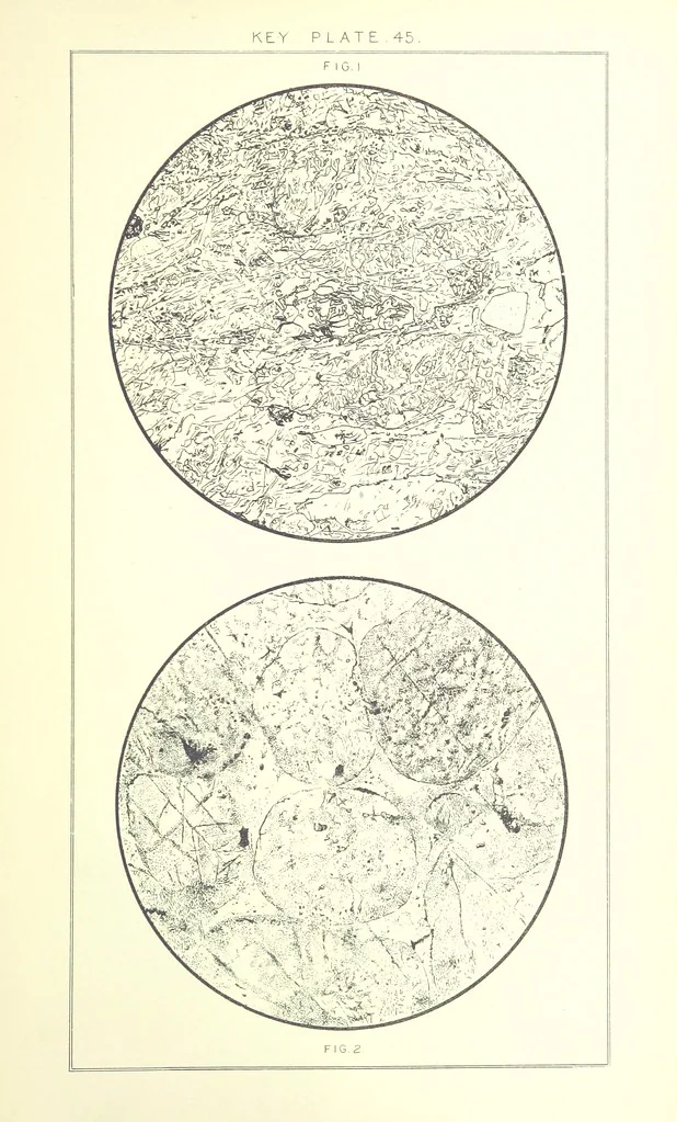 An illustration from British Petrography: with special reference to the igneous rocks. With ... plates. (Glossary of terms used in describing Rocks By F. H. Hatch.), 1888, leaf 639