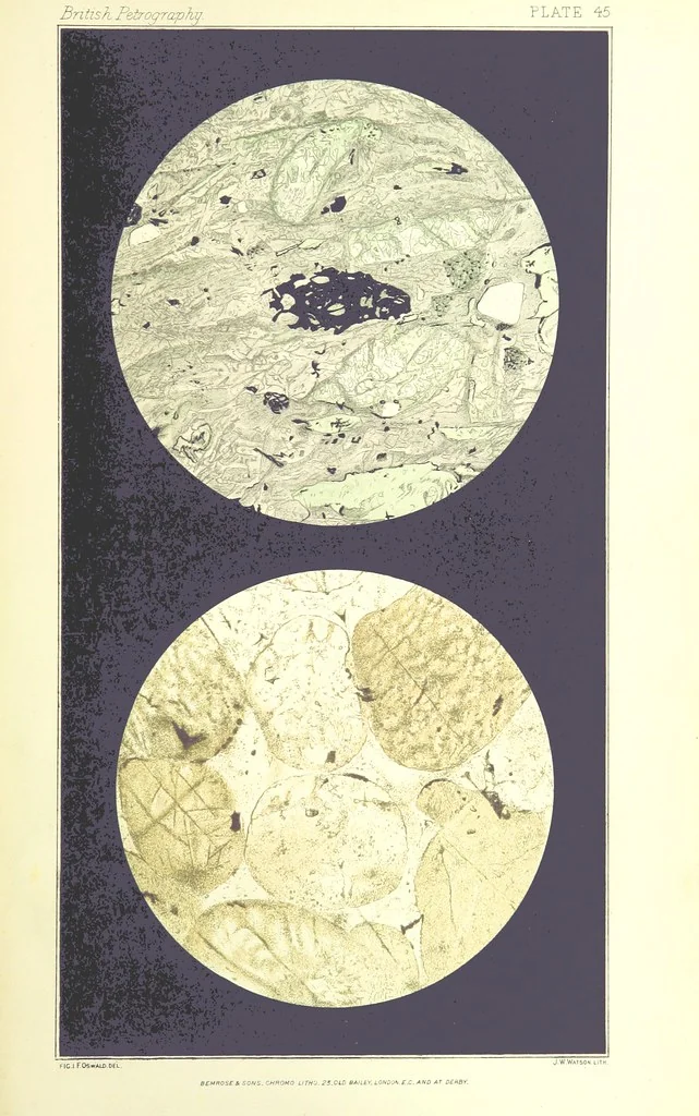 An illustration from British Petrography: with special reference to the igneous rocks. With ... plates. (Glossary of terms used in describing Rocks By F. H. Hatch.), 1888, leaf 641