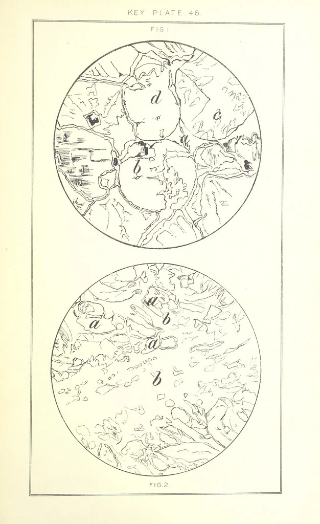 An illustration from British Petrography: with special reference to the igneous rocks. With ... plates. (Glossary of terms used in describing Rocks By F. H. Hatch.), 1888, leaf 643