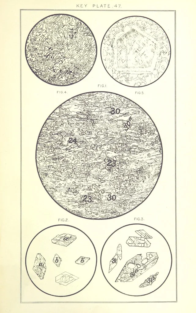 An illustration from British Petrography: with special reference to the igneous rocks. With ... plates. (Glossary of terms used in describing Rocks By F. H. Hatch.), 1888, leaf 647