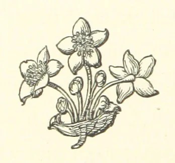 An illustration from The Works of Alfred Tennyson, etc, 1872, leaf 116