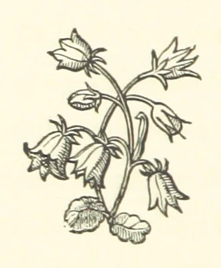An illustration from The Works of Alfred Tennyson, etc, 1872, leaf 182