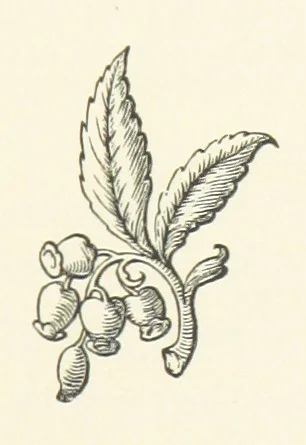 An illustration from The Works of Alfred Tennyson, etc, 1872, leaf 279