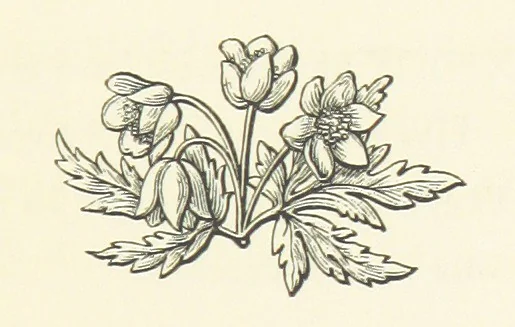 An illustration from The Works of Alfred Tennyson, etc, 1872, leaf 289