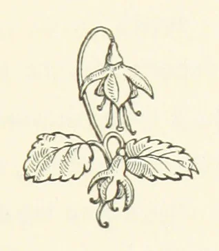 An illustration from The Works of Alfred Tennyson, etc, 1872, leaf 313