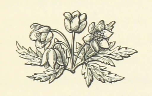 An illustration from The Works of Alfred Tennyson, etc, 1872, leaf 339