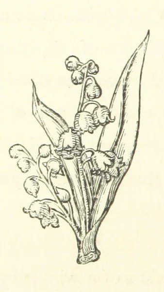 An illustration from The Works of Alfred Tennyson, etc, 1872, leaf 38