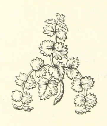 An illustration from The Works of Alfred Tennyson, etc, 1872, leaf 50