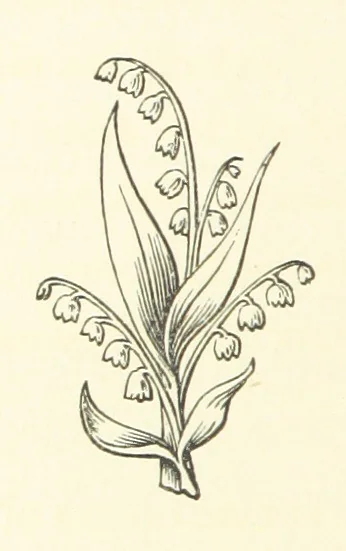 An illustration from The Works of Alfred Tennyson, etc, 1872, leaf 58