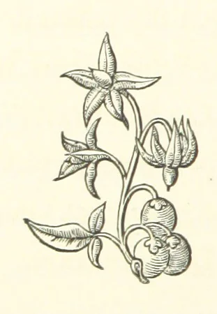 An illustration from The Works of Alfred Tennyson, etc, 1872, leaf 82