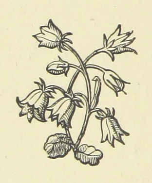 An illustration from The Works of Alfred Tennyson, 1877, leaf 184