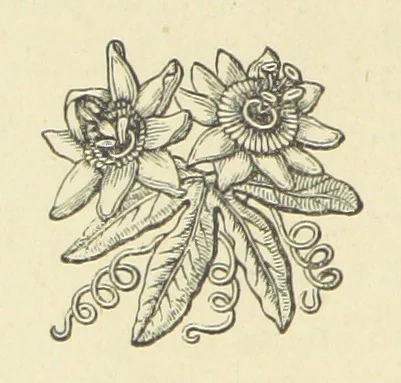 An illustration from The Works of Alfred Tennyson, 1877, leaf 28