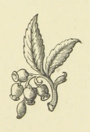 An illustration from The Works of Alfred Tennyson, 1877, leaf 281