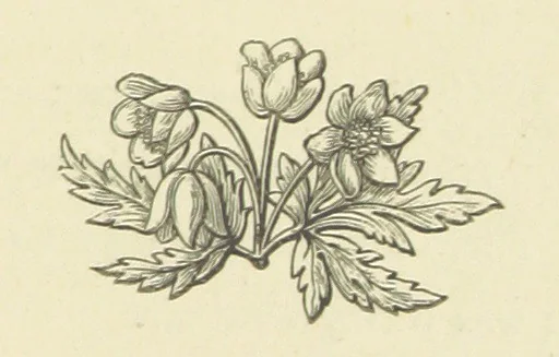 An illustration from The Works of Alfred Tennyson, 1877, leaf 291
