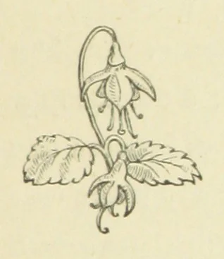An illustration from The Works of Alfred Tennyson, 1877, leaf 315
