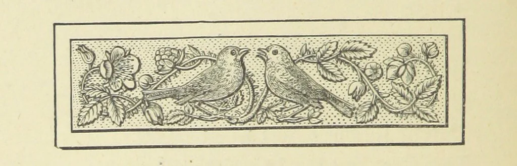 An illustration from The Works of Alfred Tennyson, 1877, leaf 316