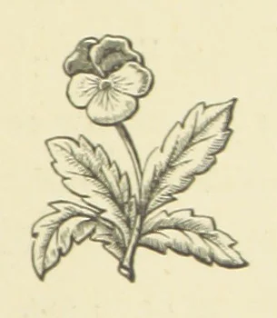 An illustration from The Works of Alfred Tennyson, 1877, leaf 35