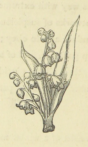 An illustration from The Works of Alfred Tennyson, 1877, leaf 40
