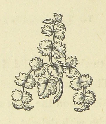 An illustration from The Works of Alfred Tennyson, 1877, leaf 52