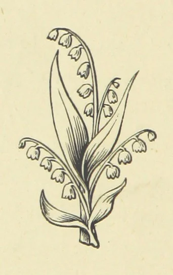 An illustration from The Works of Alfred Tennyson, 1877, leaf 60