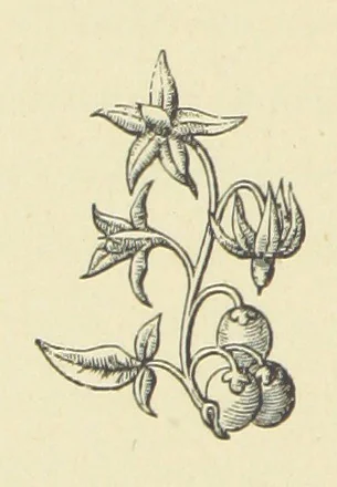 An illustration from The Works of Alfred Tennyson, 1877, leaf 84