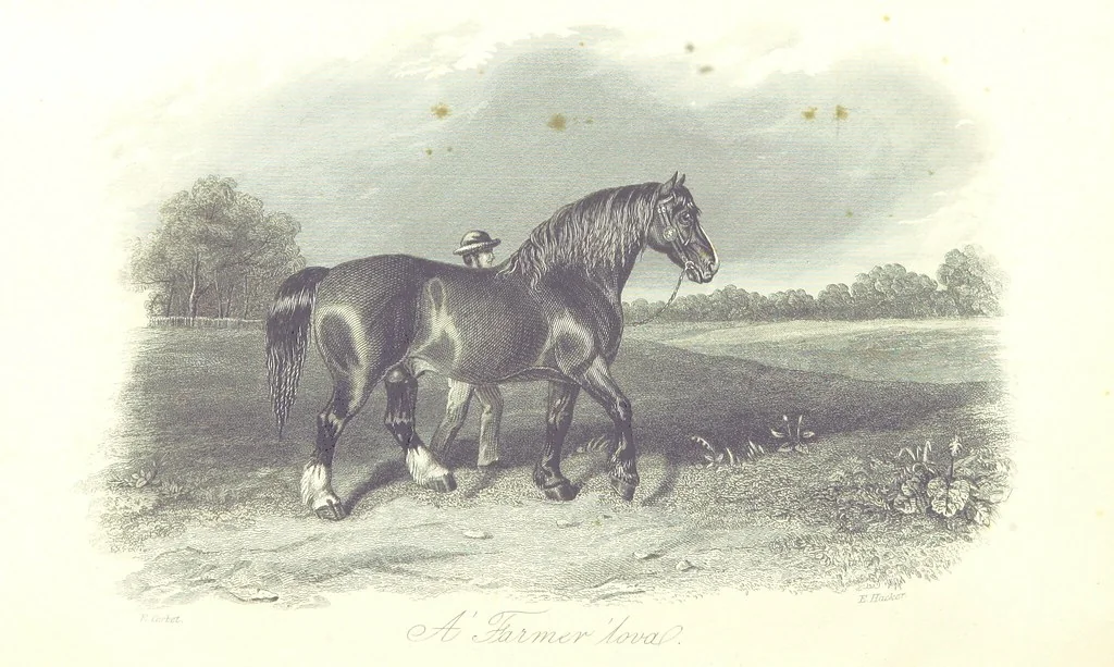An illustration from Angol-Skóthoni napló 1858 és 1859 évekről, 1859, leaf 10