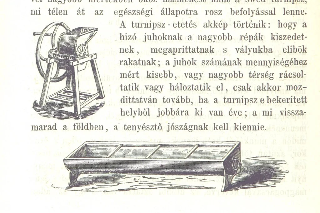 An illustration from Angol-Skóthoni napló 1858 és 1859 évekről, 1859, leaf 230