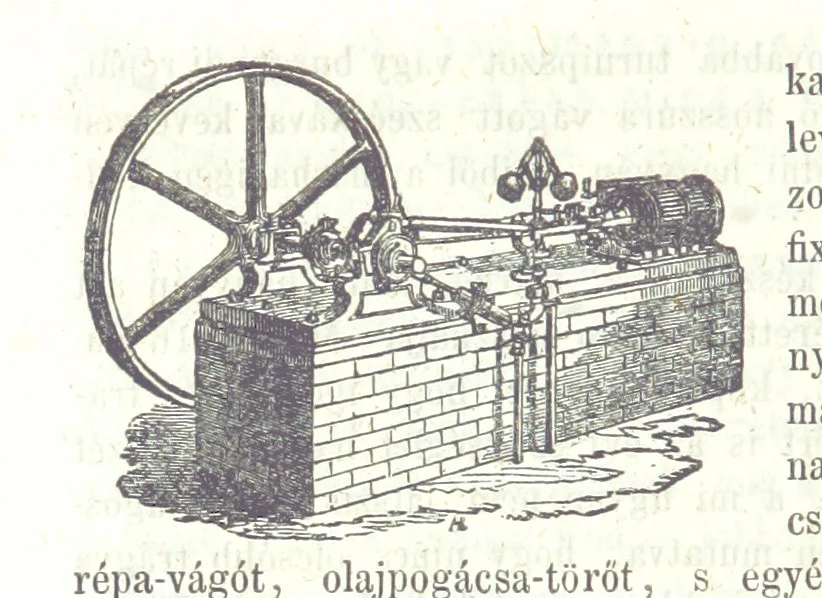 An illustration from Angol-Skóthoni napló 1858 és 1859 évekről, 1859, leaf 244