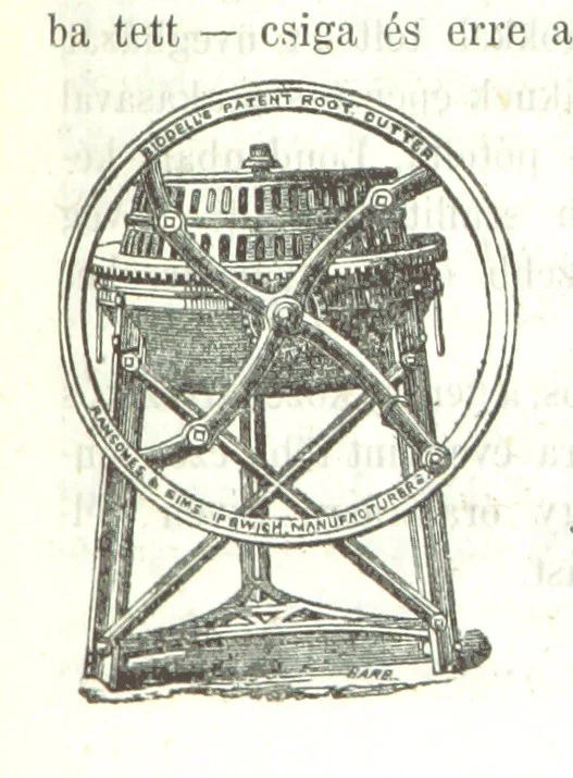 An illustration from Angol-Skóthoni napló 1858 és 1859 évekről, 1859, leaf 261