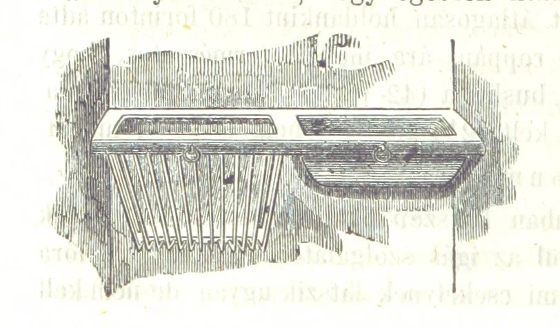 An illustration from Angol-Skóthoni napló 1858 és 1859 évekről, 1859, leaf 268