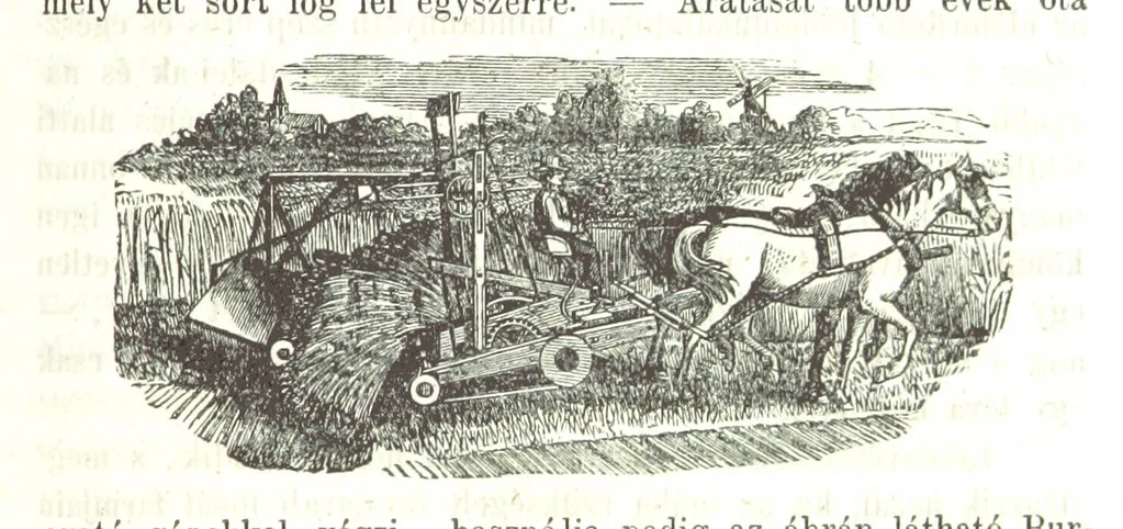 An illustration from Angol-Skóthoni napló 1858 és 1859 évekről, 1859, leaf 281