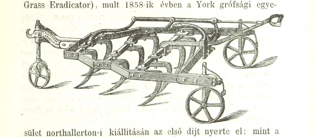 An illustration from Angol-Skóthoni napló 1858 és 1859 évekről, 1859, leaf 295