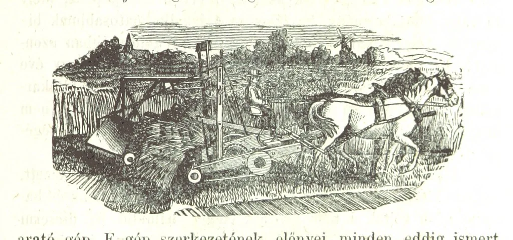 An illustration from Angol-Skóthoni napló 1858 és 1859 évekről, 1859, leaf 303