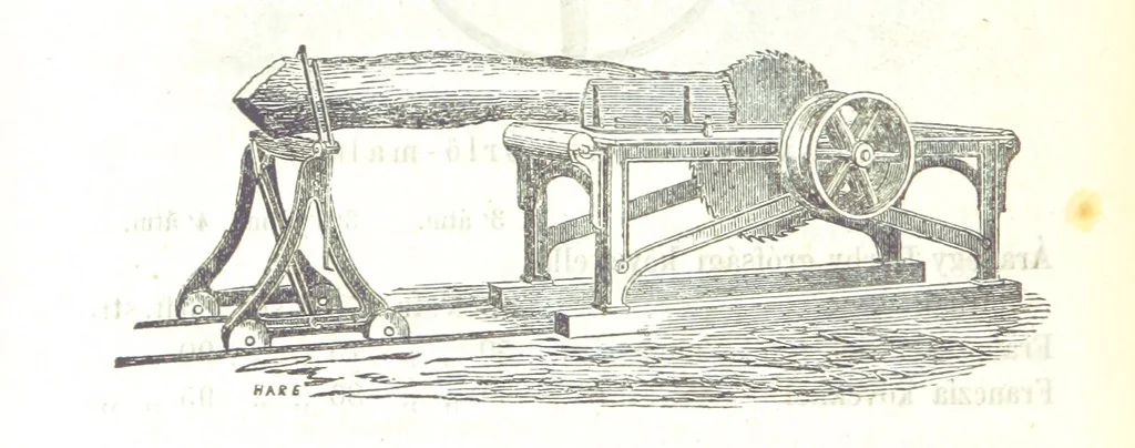 An illustration from Angol-Skóthoni napló 1858 és 1859 évekről, 1859, leaf 348